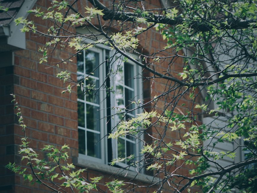 Brick house with a white-framed window partly hidden by tree branches in leaf