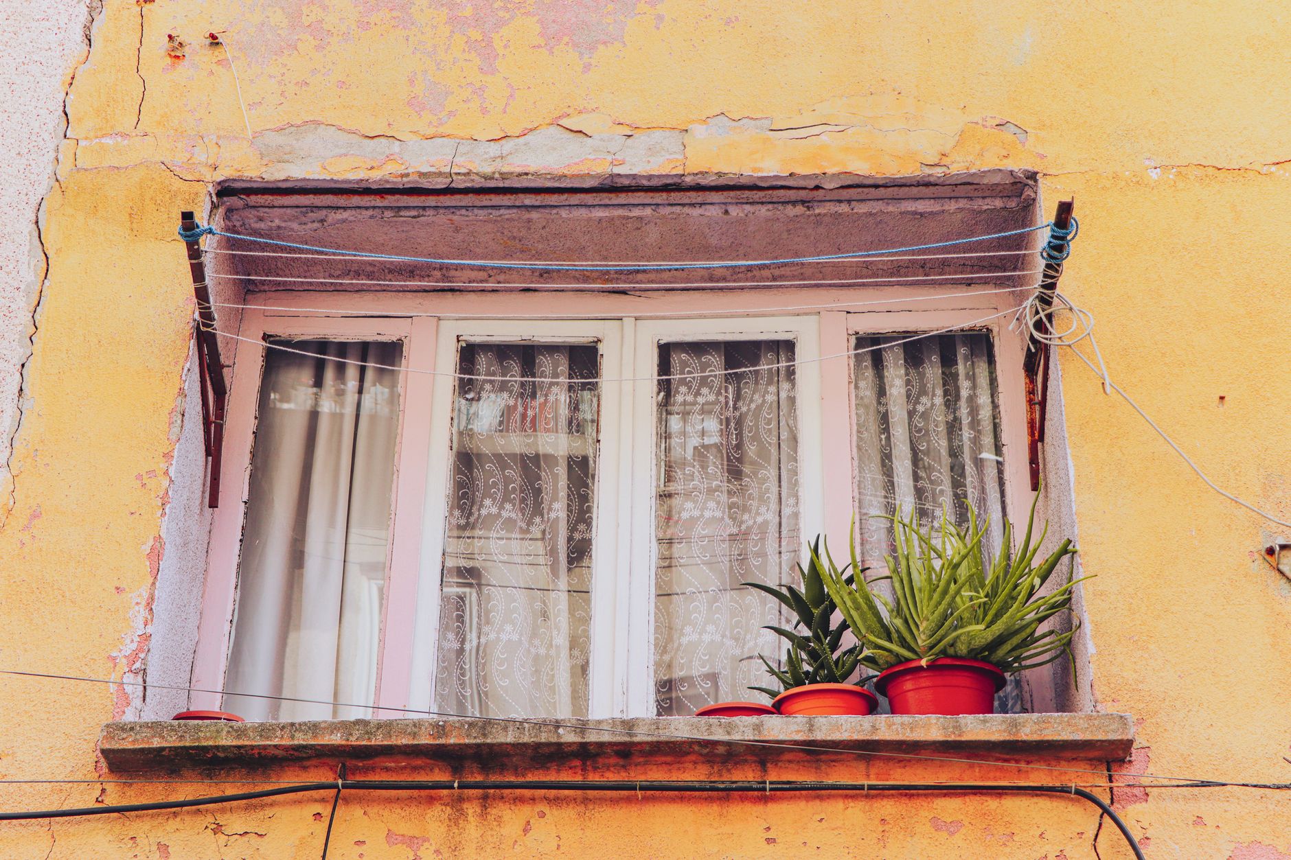 Window with lace curtains and potted succulents on a weathered wall